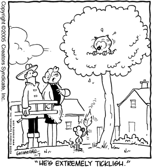 heathcliff